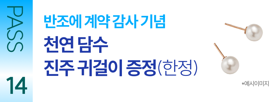 PASS 14 반조에 계약 감사 기념 천연 담수 진주 귀걸이 증정(한정)