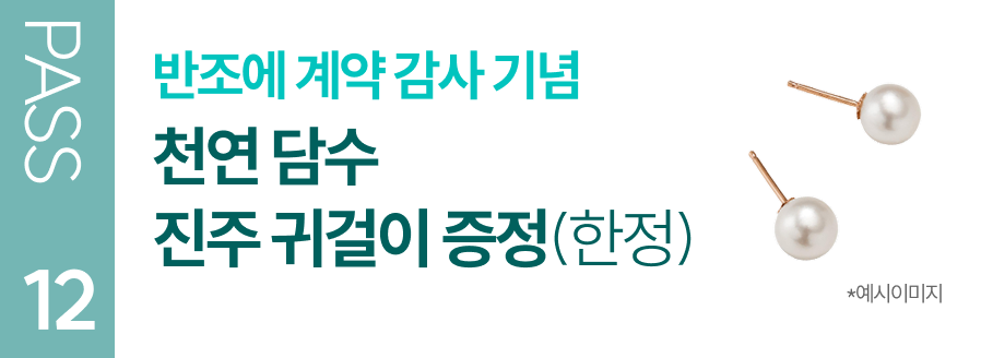 반조에 계약 감사 기념 천연 담수 진주 귀걸이 증정(한정)